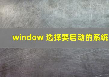 window 选择要启动的系统